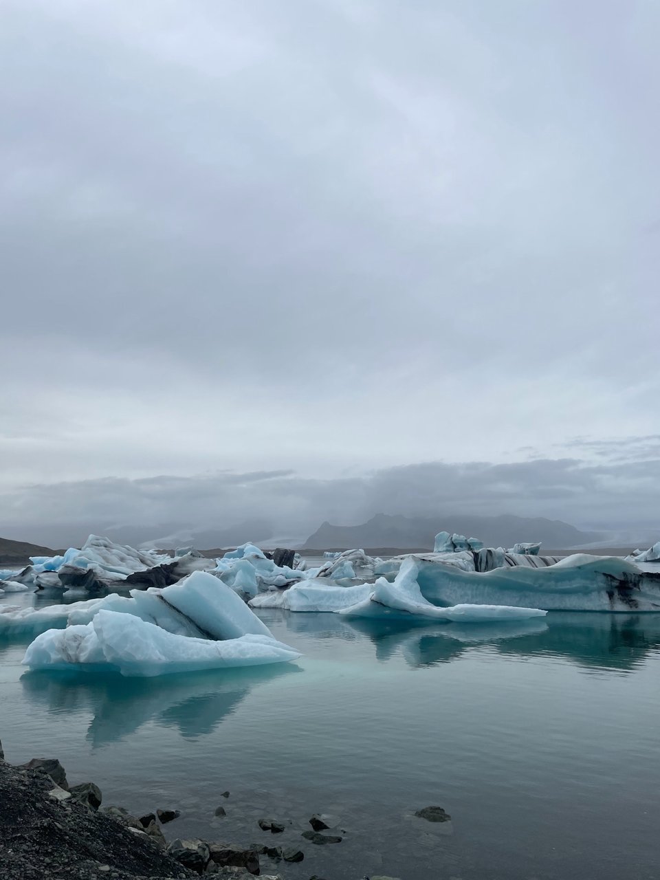 Icebergs floating in a lagoon beneath an overcast sky