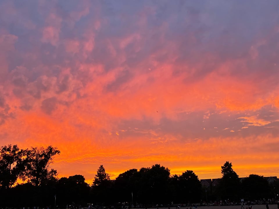 Vivid orange sunset above a dark tree line